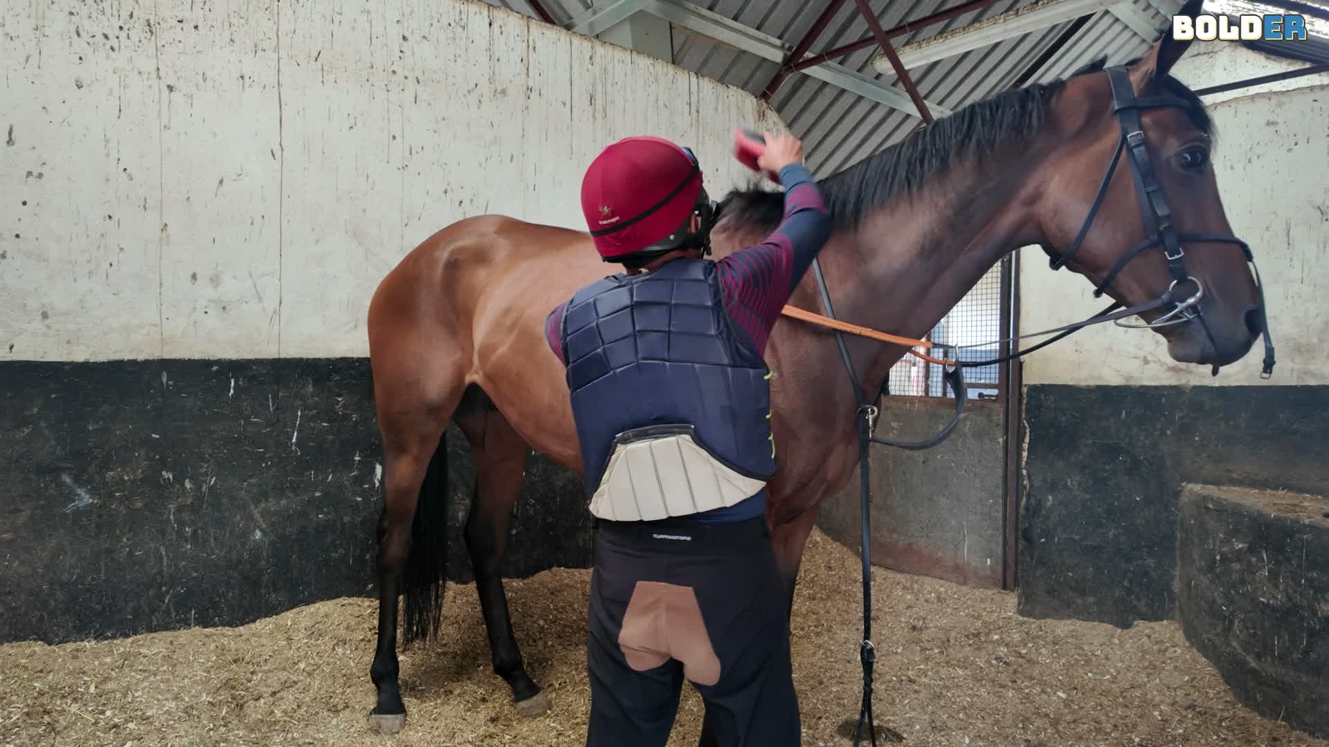 Fábio prepara um cavalo de corrida em uma fazenda na Irlanda